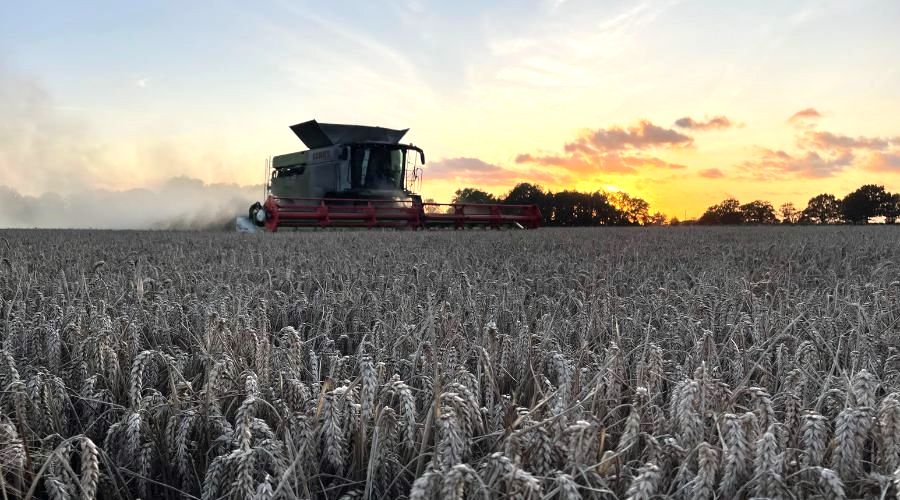 Richard Budd combining real results field