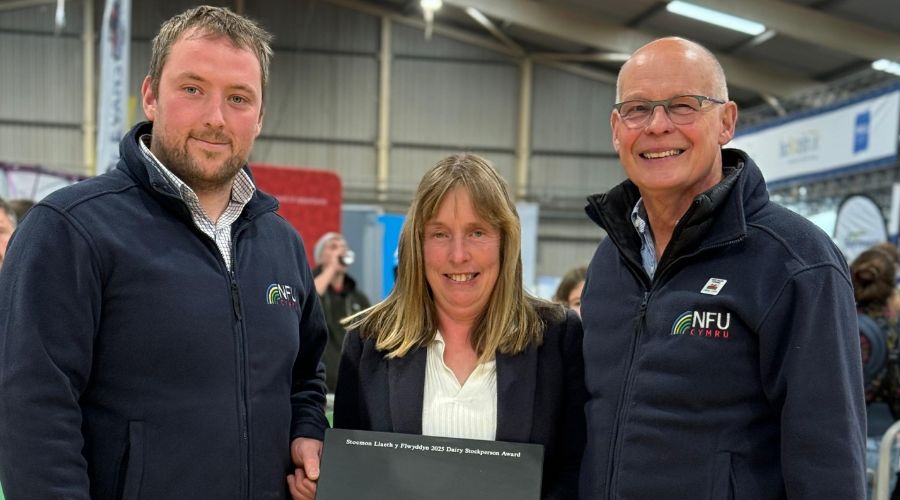 Kathy Joules wins 2025 Dairy Stockperson of the Year Award