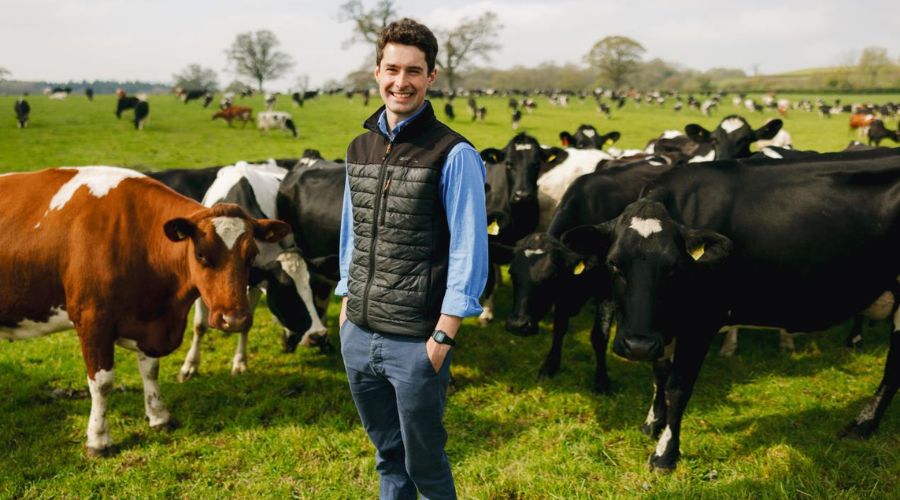 McDonald’s and Arla Foods have joined forces with an ambition to drive nature initiatives across dairy farming.