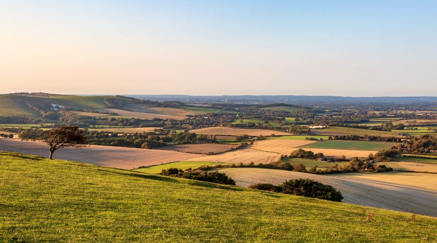 Farmland values have slowed after reaching record highs, as buyers and sellers take a ‘wait-and-see’ approach ahead of the Autumn Budget, according to Carter Jonas.
