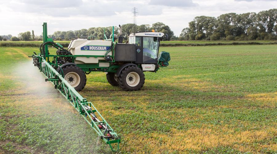 Oilseed rape crops are widely varying in drilling dates creating stark contrasts in growth and management needs, Agrii agronomist Louisa Kenney said.