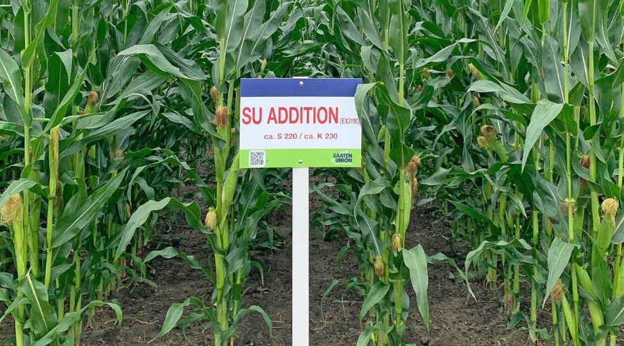 More momentum for SU Addition following three consecutive years of positive trial results, according to Future Biogas.