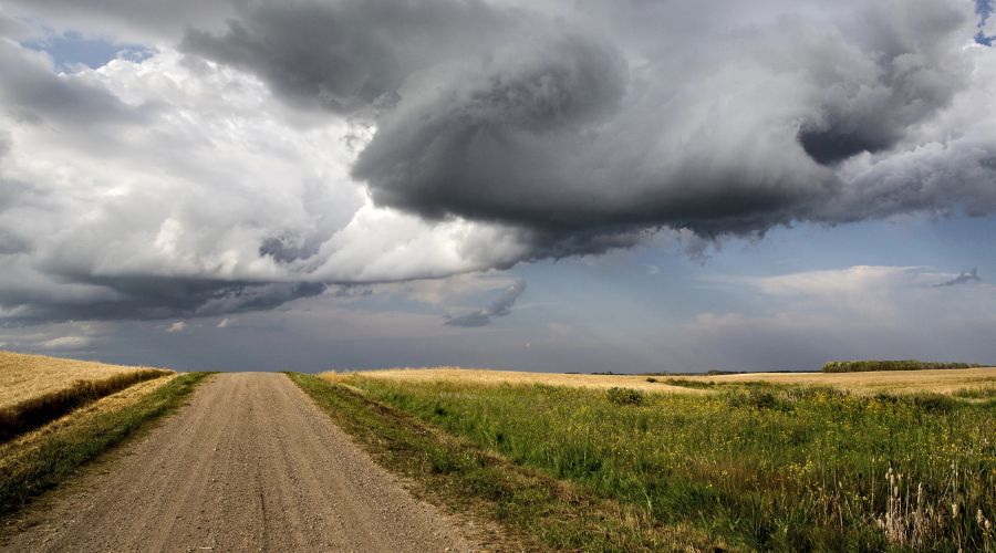 Storm Amy, the first named storm of the 2025/26 season, is set to bring gusts up to 80mph and heavy rain this Friday and Saturday.