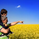 Some farmers surveyed by NFU Mutual have not yet planned how they will hand over farms following inheritance tax changes.