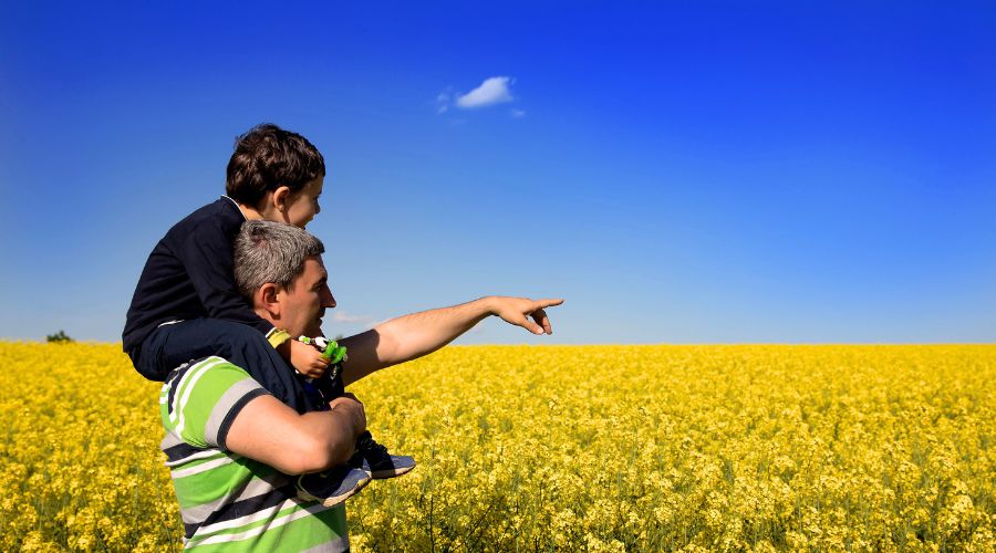 Farmers are not prepared for IHT changes, survey reveals