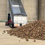 Sugar beet industry experts Francesca Broom of BBRO and Mark Winters of British Sugar have provided an update on the latest conditions in the field. 