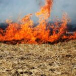 The cost of farm fires was estimated at about £102 million in 2024, NFU Mutual’s new Farm Fires report has revealed.