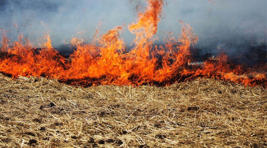 Farm and ag vehicle fires cost UK over £140m last year