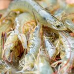 Owner of a UK-based king prawn farm, Eden Valley Prawns, said that the idea could create thriving and sustainable domestic seafood industry.