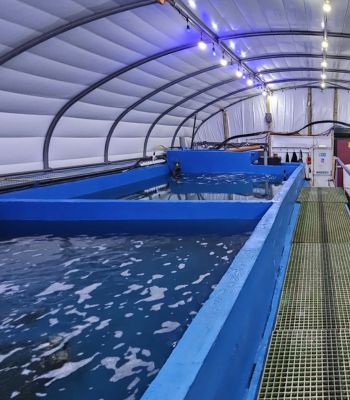 The only commercial king prawn farm in the UK, photo Eden Valley Prawns.