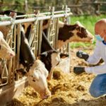 Report from Public Accounts Committee (PAC) has warned that the UK government is not adequately prepared for the most severe animal disease outbreaks.
