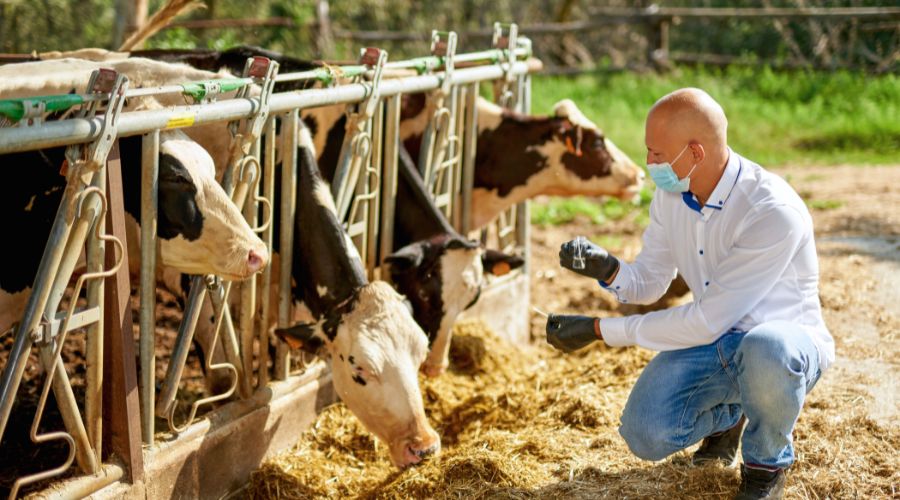 Report from Public Accounts Committee (PAC) has warned that the UK government is not adequately prepared for the most severe animal disease outbreaks.