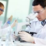 The Genetic Technology (Precision Breeding) Act 2023, which allows the commercial cultivation of gene-edited crops in England, has now come into force. 