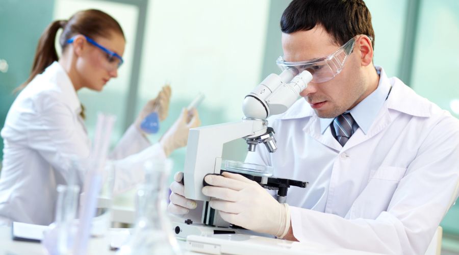 Legislation allowing cultivation of gene-edited crops now in force