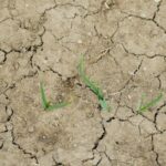 Farmers have been advised to prepare for an ongoing drought in 2026, following a recent meeting that outlined the current situation.