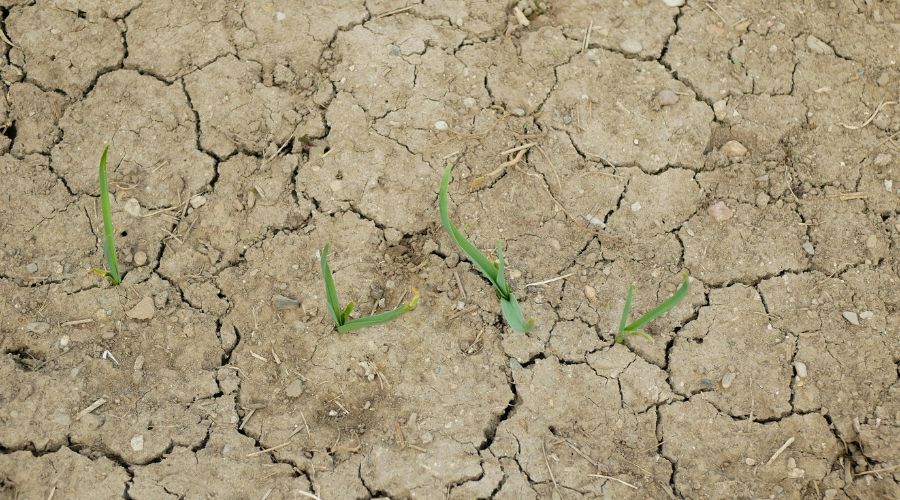 Farmers have been advised to prepare for an ongoing drought in 2026, following a recent meeting that outlined the current situation.