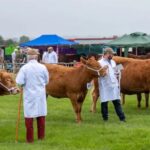 Great British Farm-Fest will feature several well-known personalities, including Jeremy Clarkson, Adam Henson and Matt Tebbutt. 