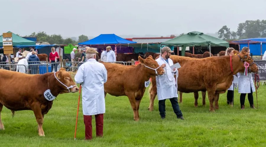 Tickets to go on sale for new farming show featuring Jeremy Clarkson and Adam Henson