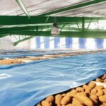 Omnivent potato storage image