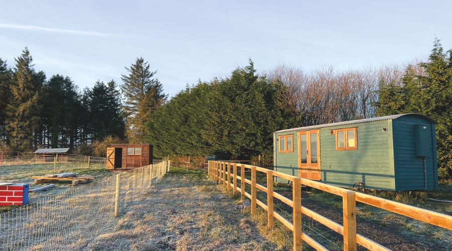 Funding farmers’ brilliant ideas: Farm finance specialists reveal their favourite diversifications 