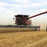 UK arable farmers have struggled throughout 2025 due to consistently low grain prices, Hectare Trading reports.
