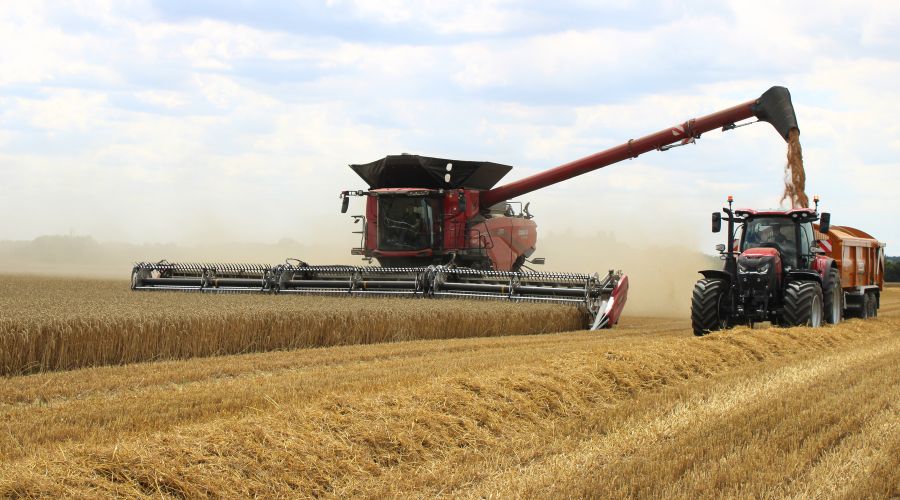 UK farming profitability under threat in 2025 