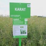 Launched on 1st December by Paul Gosling of AHDB, the new Recommended List (RL) for cereals and oilseeds is “packed full of options for multiple markets”.