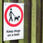 Dog owners in England and Wales will face unlimited fines if their pets attack livestock. New Bill has just been cleared by the House of Lords.