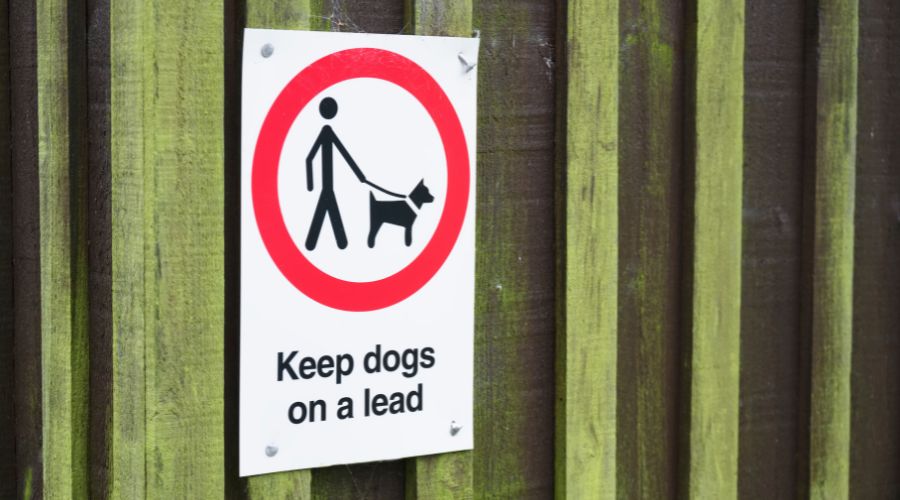 Dog owners in England and Wales will face unlimited fines if their pets attack livestock. New Bill has just been cleared by the House of Lords.
