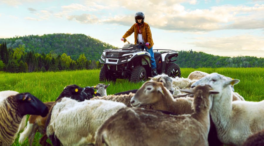 Can-Am will be showcasing its electric innovation at LAMMA 2026, including Can-Am Outlander Electric, first fully electric T-homologated ATV.