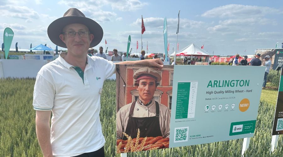 New provisional Group 1 winter wheat and top-yielding OSR for DSV