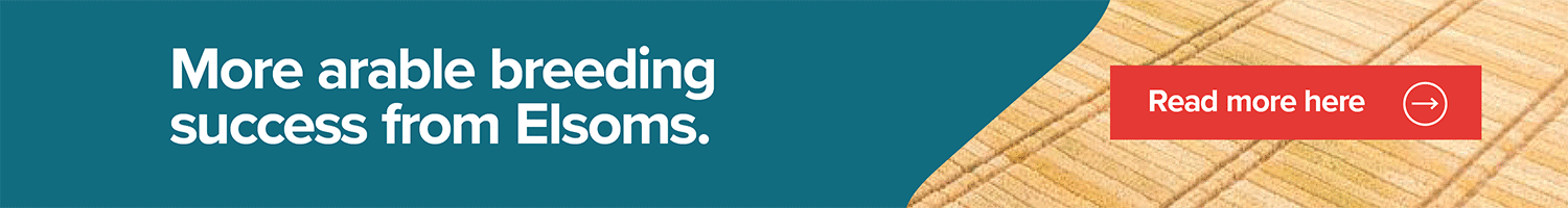 Elsoms banner advert