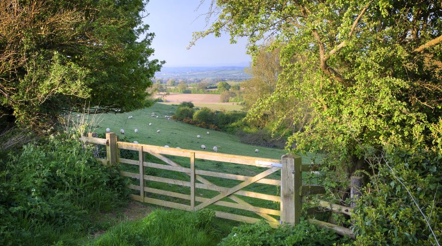 Average farmland values in England hold firm despite months of uncertainty