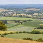 Farmland demand is forecast to stay strong in 2026; however, price expectations should be kept realistic, according to Carter Jonas.