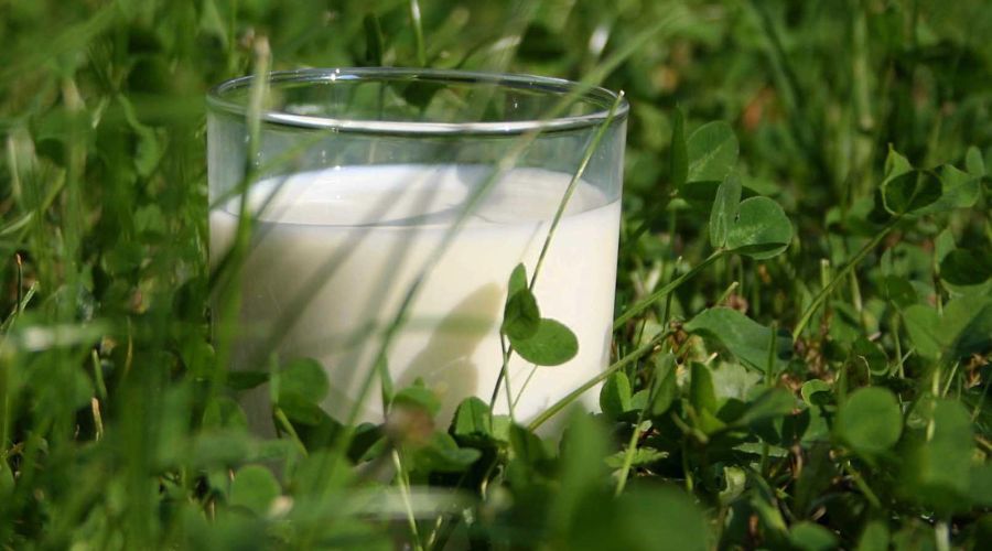 Milk producers hit by new farmgate price cuts