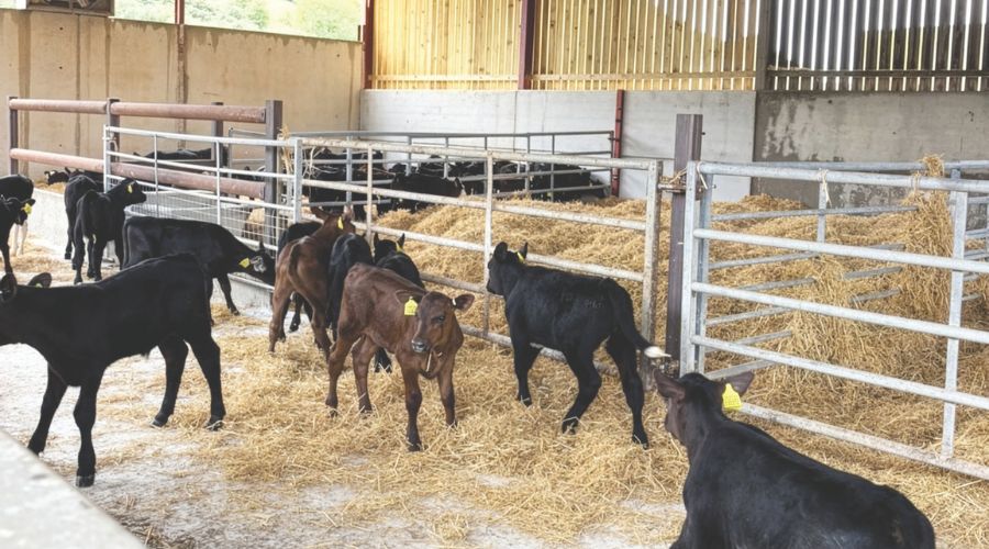Somerset farmer finally buys land rented for generations