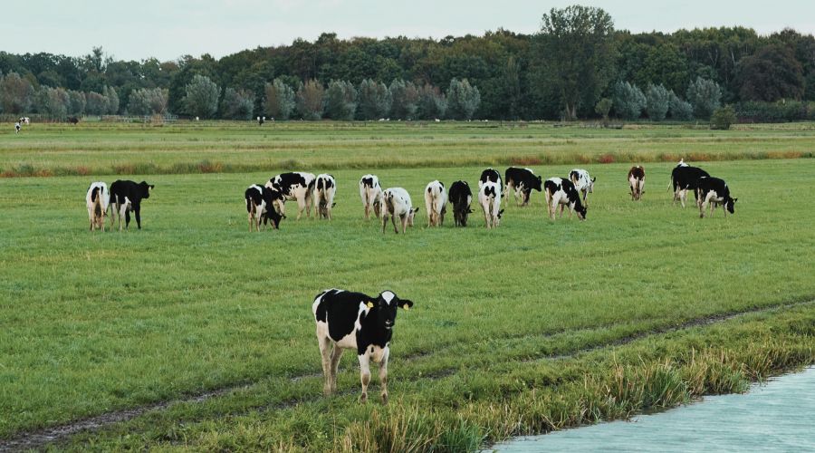 How finance can help first-generation farmers build their legacy