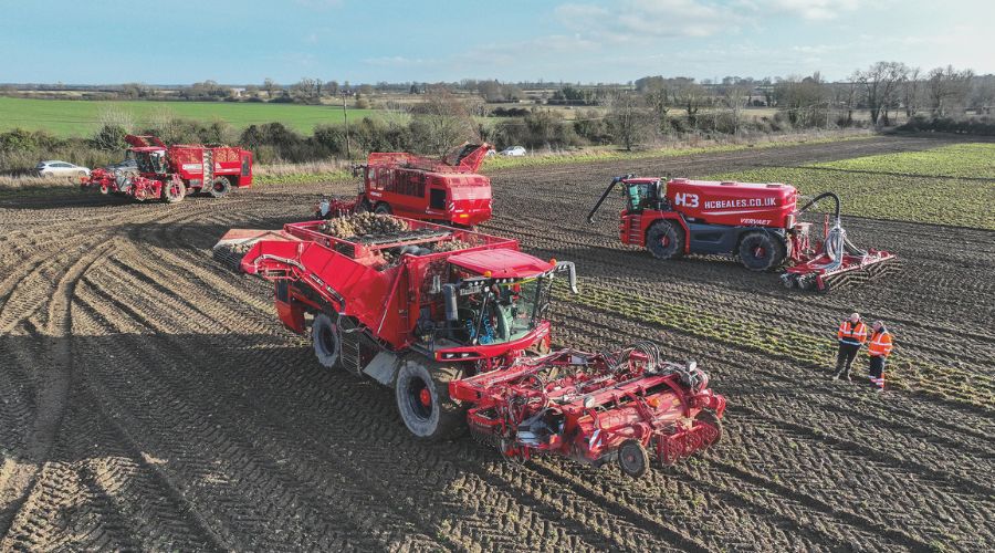J Riley Beet Harvesters being demonstrated