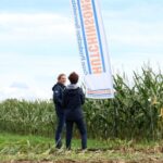 More attention needs to be given to maize nutrition planning, as some crops are potentially being underfed, compromising yield, warn Hutchinsons’ agronomists. 