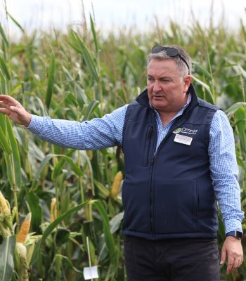 Jim Clarke of Hutchinsons