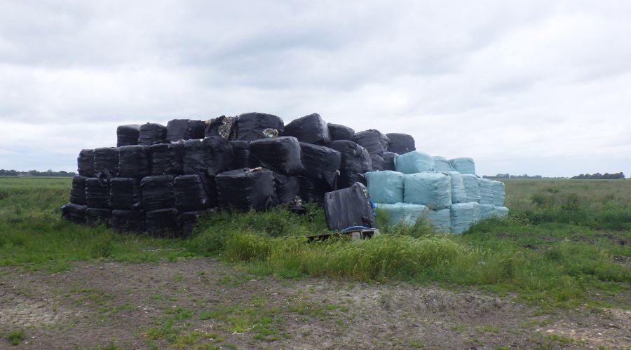 Lime Tree Farm, Thorney, Lincolnshire