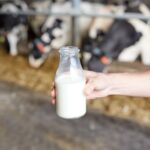 February milk prices continue their downturn amid 