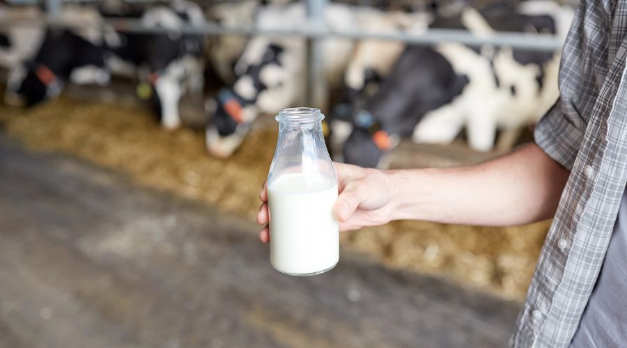 Further cuts to farmgate milk prices announced