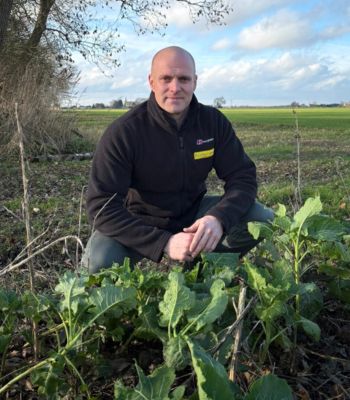 Jack Holgate, commercial director at Boston Seeds.