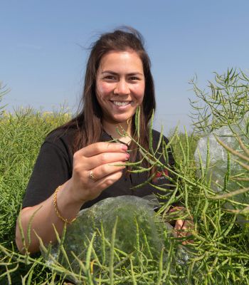 Panida Wadsworth, a breeder for Elsom Seeds 
