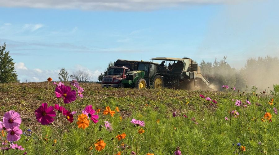 McCain Foods, manufacturer of prepared potato products, has announced plans to launch a new Farm of the Future in North Yorkshire.