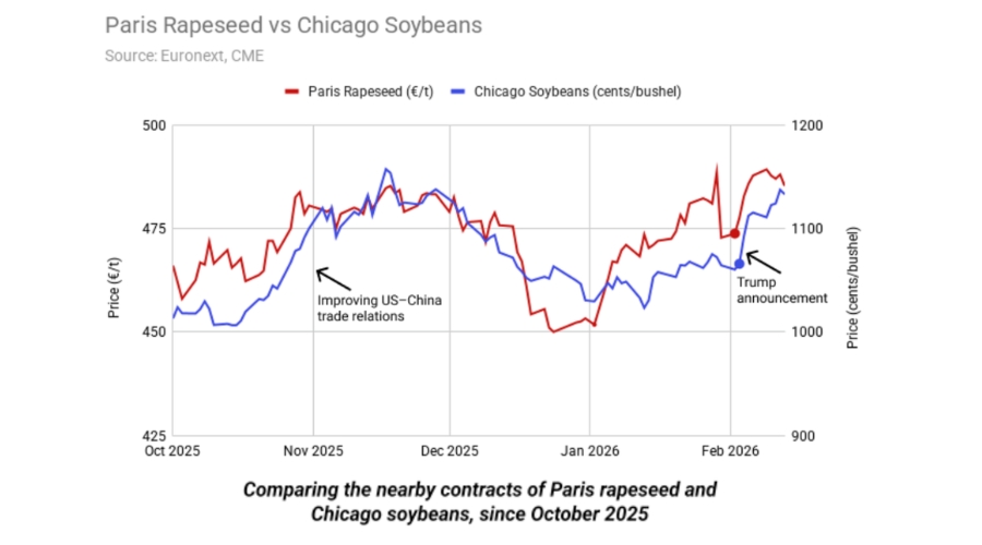 What really sets the price of your oilseed rape?