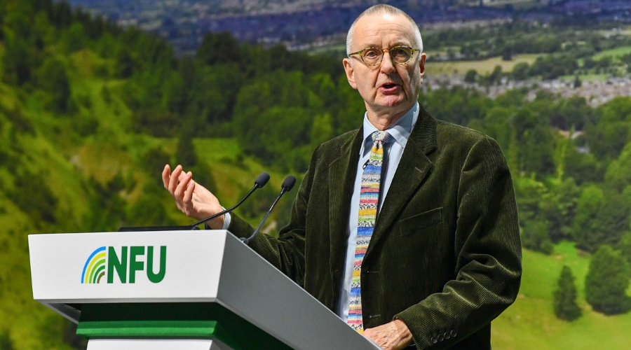 “Food security does not just happen; it needs to be pursued,” said Tim Lang, professor emeritus of food policy at City St George’s, University of London, in a discussion on food resilience.