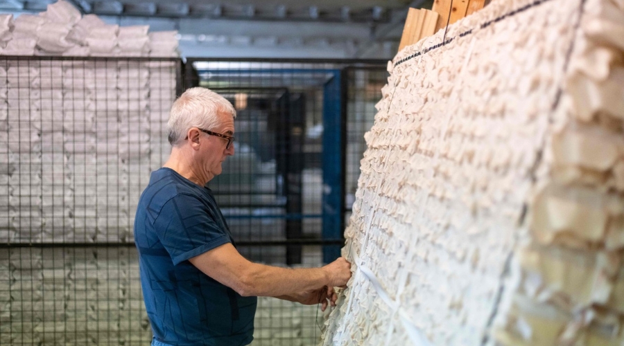 UK mattress manufacturer backs sheep farmers who get ‘mere pennies’ for fleece