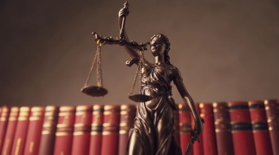 Two former agricultural college students sentenced for killing sheep 